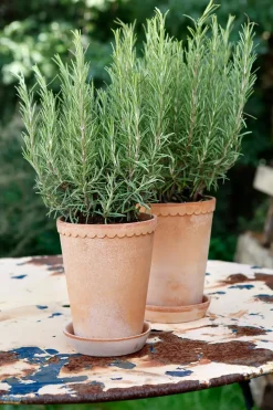 Helena flower pot high Ø14 cm, pink