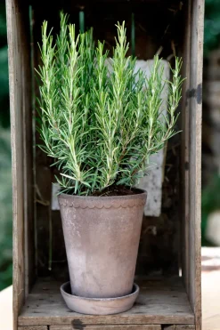 Helena flower pot high Ø14 cm, grey