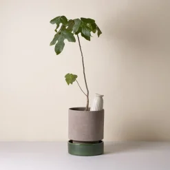 Hoff pot, Ø18 cm, Raw Grey-Emerald Green