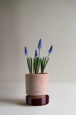 Hoff pot, Ø14 cm, Raw Rosa-Deep Burgundy