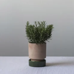 Hoff pot, Ø18 cm, Raw Rosa-Emerald Green