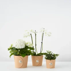 Hug flower pot, Light brown, h.15 cm Ø18 cm