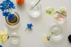 Kappa vase 56 mm, Clear