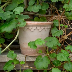 Københavner flower pot Ø16 cm, Pink