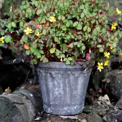 Københavner flower pot Ø16 cm, Grey
