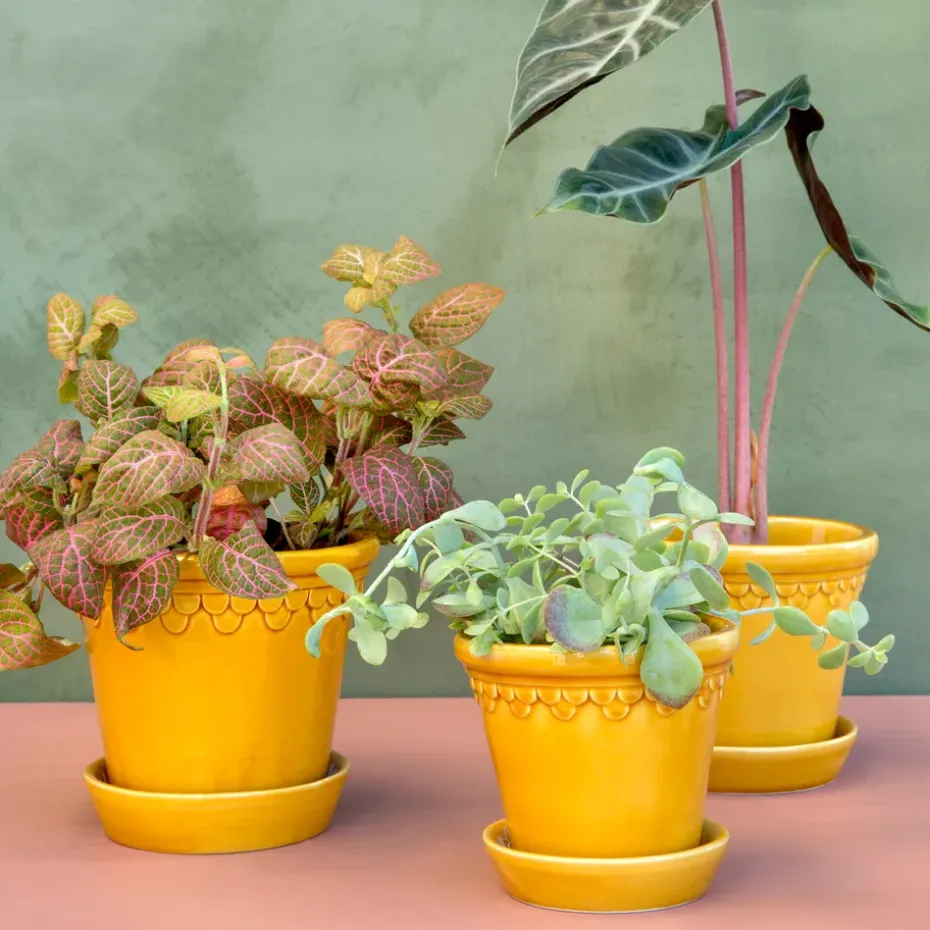 Københavner flower pot glazed Ø18 cm, Yellow