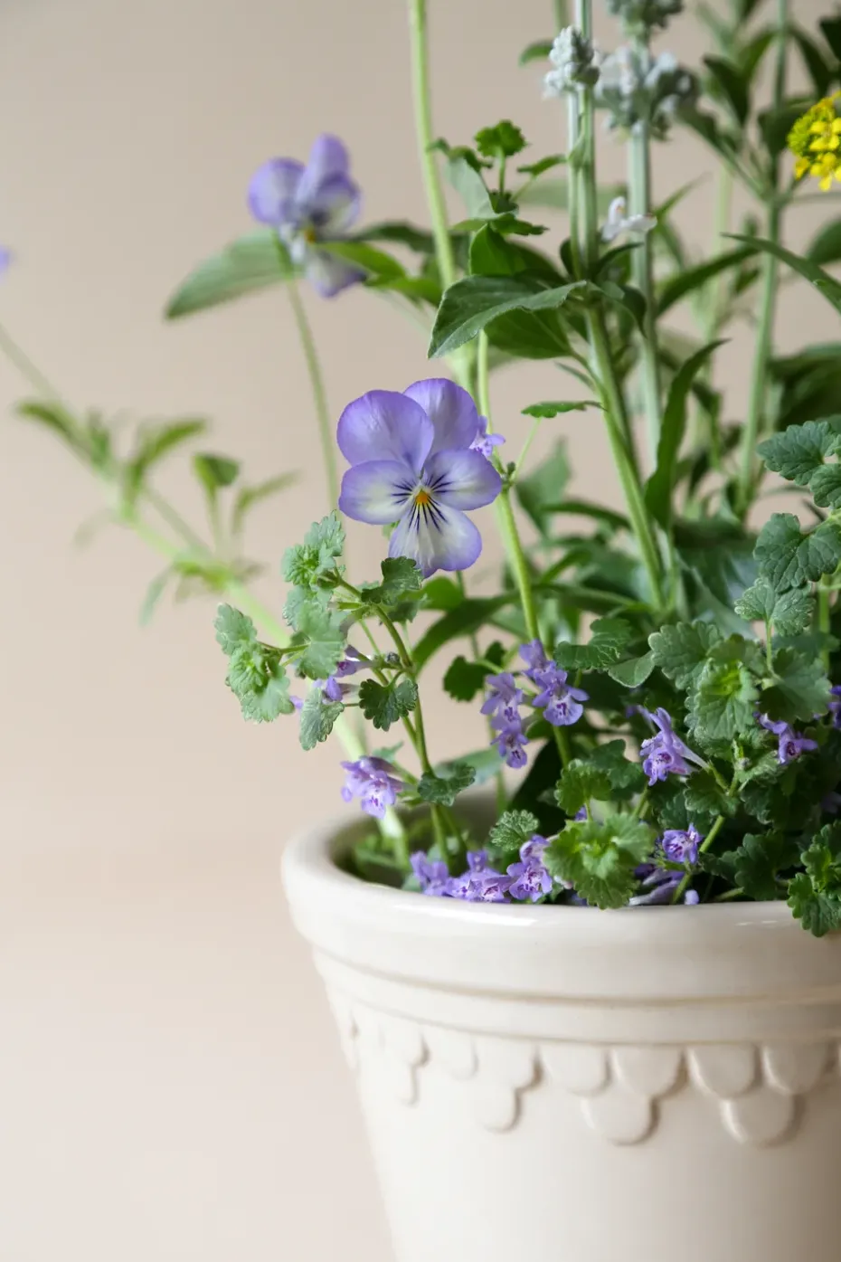 Københavner flower pot glazed Ø16 cm, Sand Stone