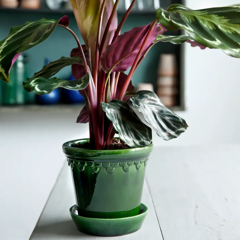 Københavner flower pot glazed Ø18 cm, Green
