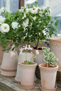Københavner flower pot high Ø10 cm, pink