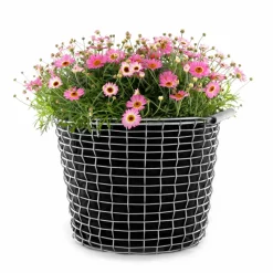 Korbo bucket 16, acid proof steel