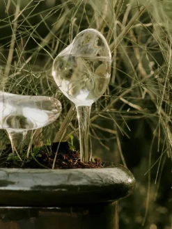 Mercury watering globe 2 parts, Clear, 15x24 cm