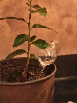 Mercury watering globe 2 parts, Clear, 12x18.5 cm