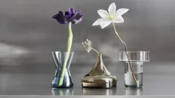Midsummer Mini Vase Peach-leaved Bellflower, 86 mm