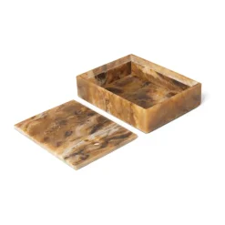 Mist storage box 15x20 cm, Sugar kelp