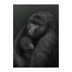 Mountain gorilla poster, 50x70 cm