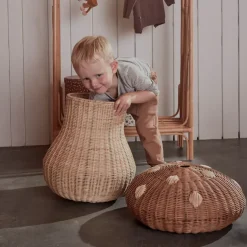 Mushroom basket, Nature
