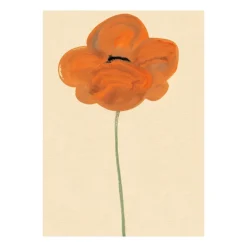 Orange Vallmo poster, 30x40 cm