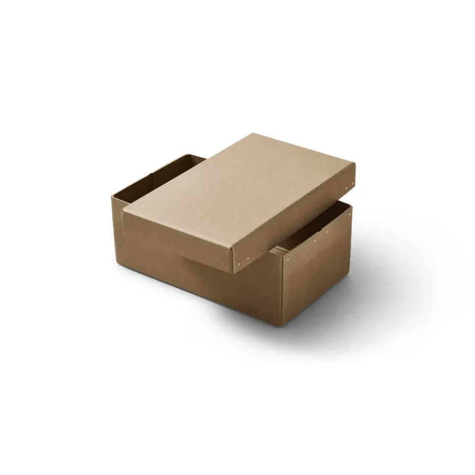 Ordinary storage box 2-pack, Brown