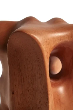 Organic sculpture 22 cm, Varnished mahogany