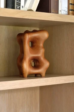 Organic sculpture 22 cm, Varnished mahogany