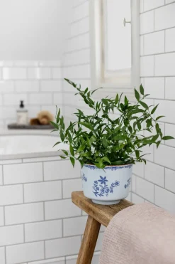 Ostindia plant pot, Ø17x13 cm
