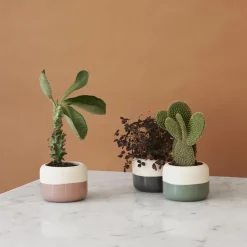 Plant-It herb pot Ø8.5 cm, pink
