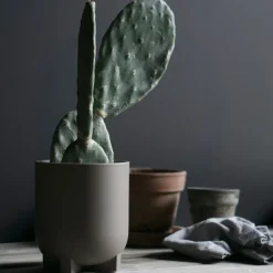 Plus flower pot Ø16 cm, dust
