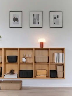 Pulp storage box 32x48 cm 2-pack, Natural Brown