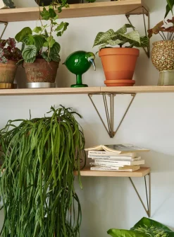 Pythagoras shelf, oak