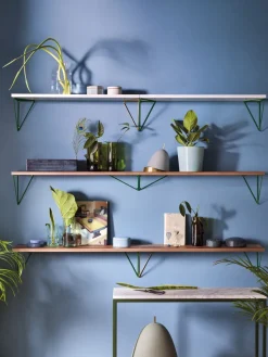 Pythagoras shelf, walnut