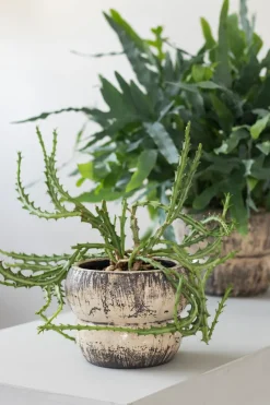 Raw flowerpot Ø17 cm, Off-white