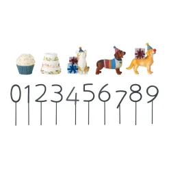 Salve birthday decoration 15 pieces, Multi