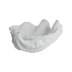 Shell decoration, Small