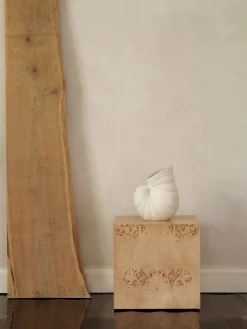 Shell vase, Off white