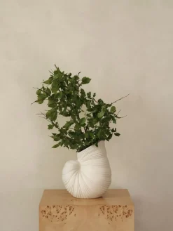 Shell vase, Off white
