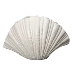 Shell vase, White