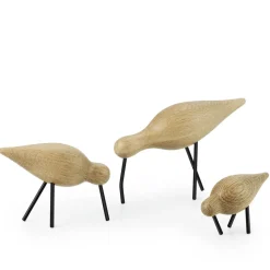 Shorebird oak-black, medium