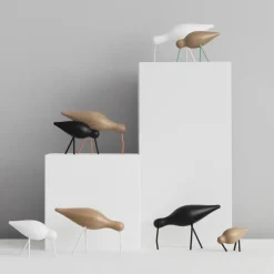 Shorebird white, medium