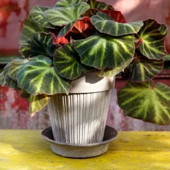 Simona flower pot Ø18 cm, grey