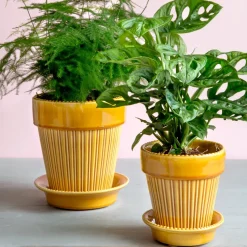 Simona flower pot glazed Ø14 cm, Yellow