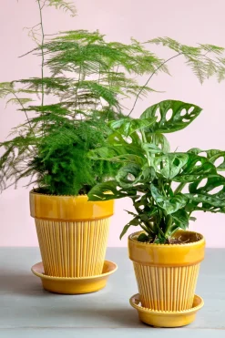 Simona flower pot glazed Ø12 cm, Yellow