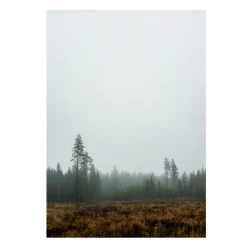 Skog poster, 70x100 cm