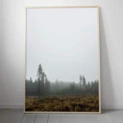 Skog poster, 70x100 cm