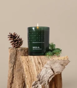 Skog scented candle with lid, 65 g