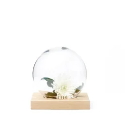 Space decoration, White oiled oak, glass