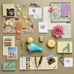 Story bird, Joy