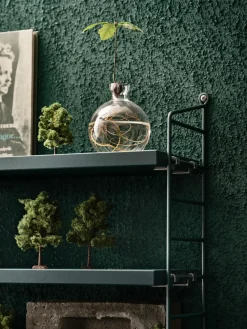 String Pocket wall shelf, Tegnér green