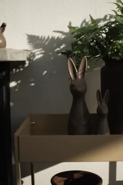 Swedish rabbit large, dust