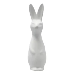 Swedish rabbit large, white