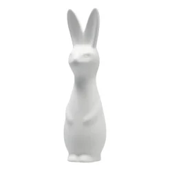 Swedish rabbit large, white